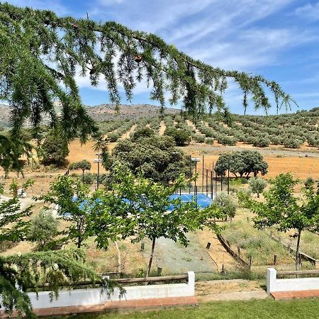 Penzion Santa Marta Complejo Rural Con Pista De Padel Archidona Exteriér fotografie