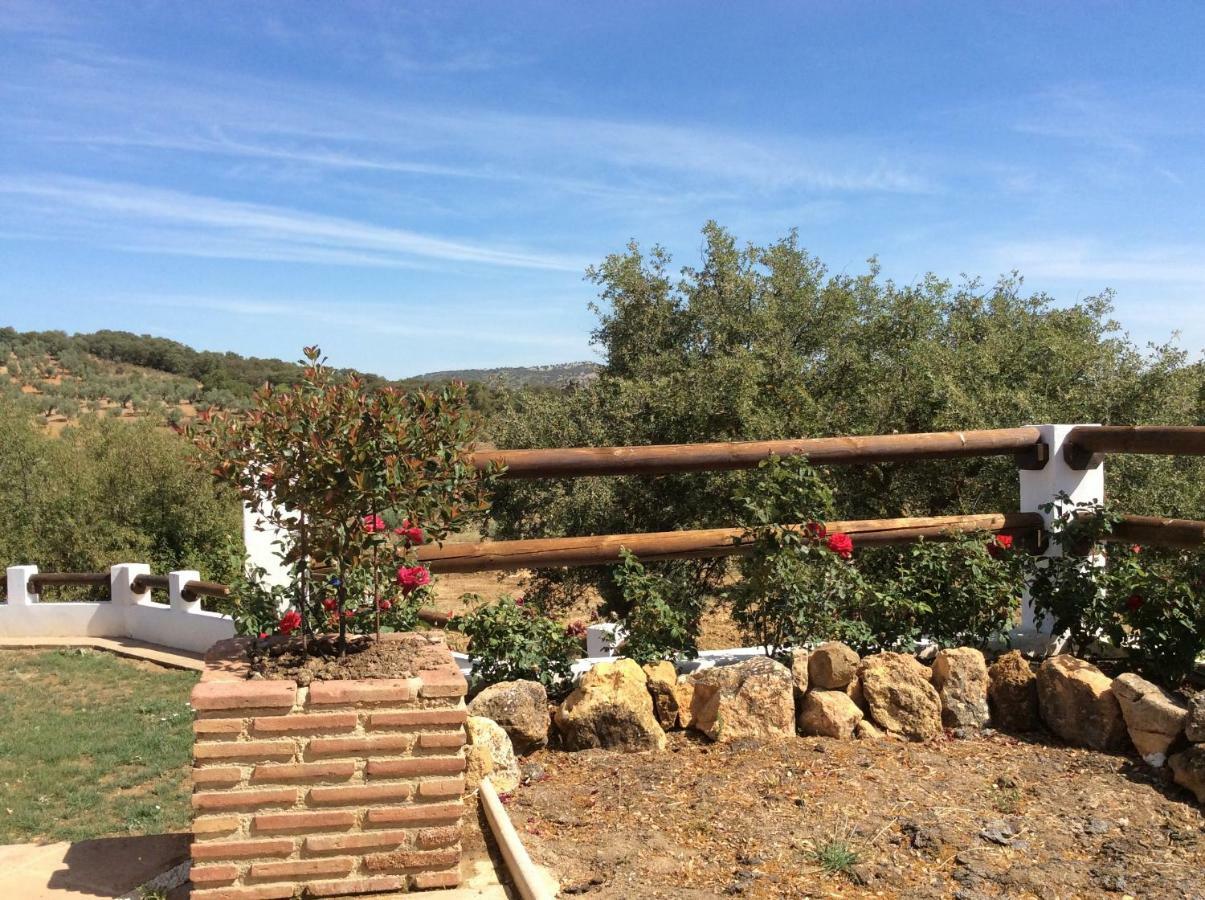 Penzion Santa Marta Complejo Rural Con Pista De Padel Archidona Exteriér fotografie