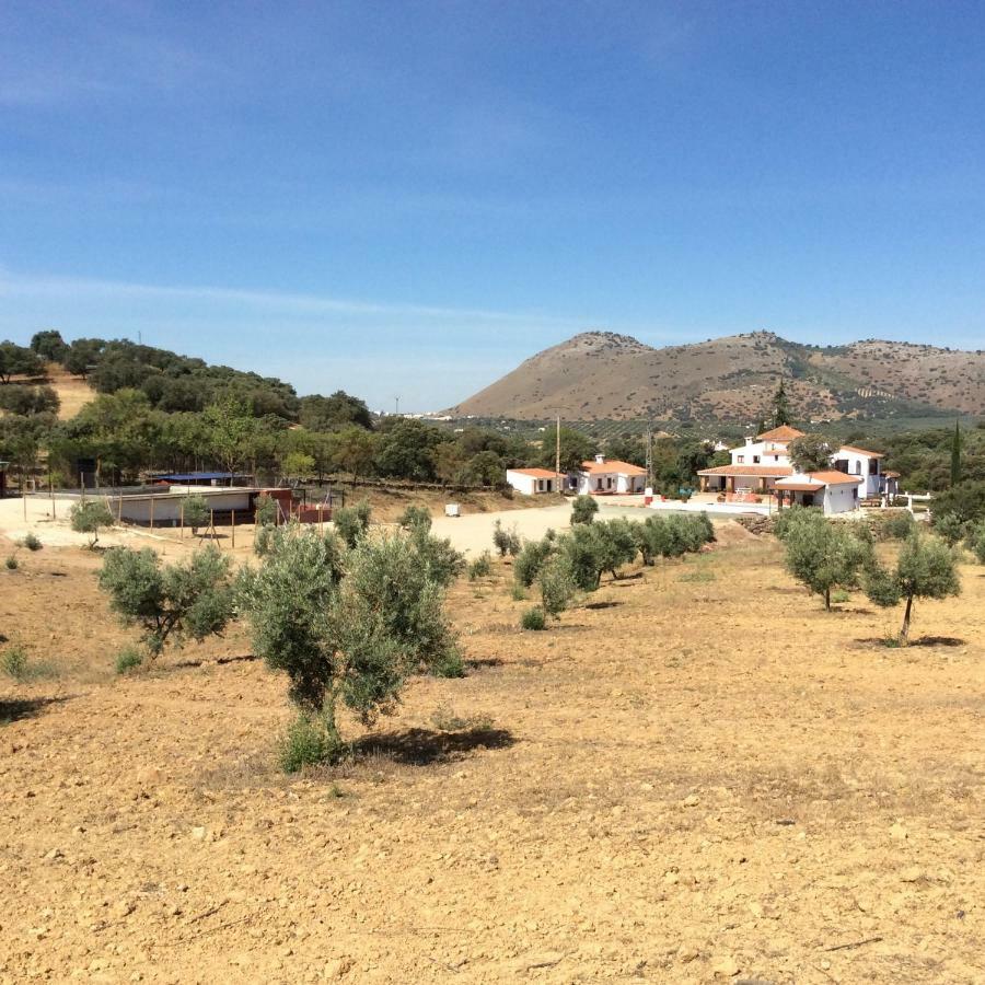 Penzion Santa Marta Complejo Rural Con Pista De Padel Archidona Exteriér fotografie